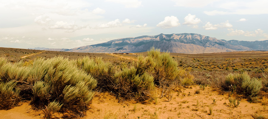 New Mexico desert landscape